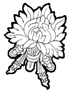 Lotus Flower